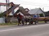 10_116 Marginea.jpg